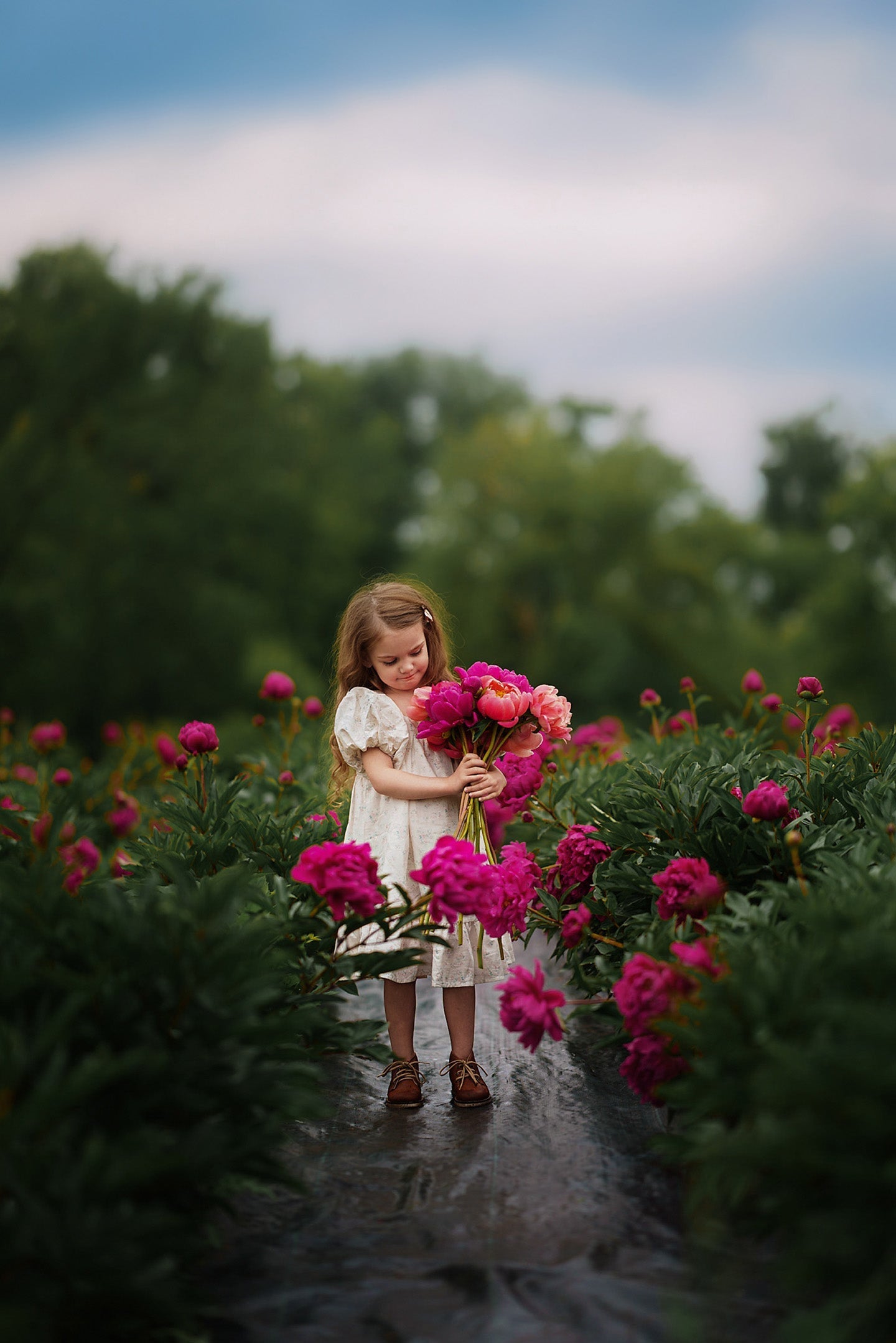 The Weekend Dress 100% Cotton